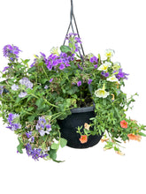 Load image into Gallery viewer, Fall Harvest Combo Hanging Basket