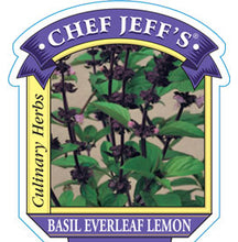 Load image into Gallery viewer, Basil 'Everleaf Lemon'