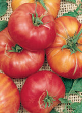 Load image into Gallery viewer, Tomato 'German Johnson Pink'