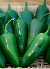 Load image into Gallery viewer, Pepper 'Jalapeno Megatron'