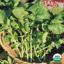Load image into Gallery viewer, Arugula/Roquette Organic Seeds