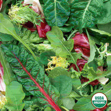 Load image into Gallery viewer, Mesclun Mix Organic Seeds