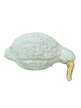 Load image into Gallery viewer, Specialty Autumn Harvest Mix Pumpkins