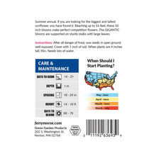 Load image into Gallery viewer, Sunflower American Giant Hybrid Seeds