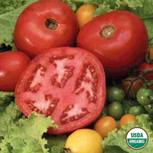 Load image into Gallery viewer, Tomato Beefsteak Organic Seeds