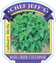 Load image into Gallery viewer, Basil 'Greek Columnar'