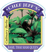 Load image into Gallery viewer, Basil 'Thai Siam Queen'