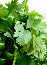 Load image into Gallery viewer, Cilantro Coriander