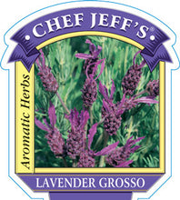 Load image into Gallery viewer, Lavender 'Grosso'