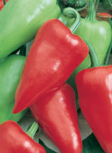 Load image into Gallery viewer, Pepper 'Mariachi'