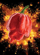 Load image into Gallery viewer, Pepper "Trinidad Scorpion"