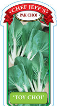 Load image into Gallery viewer, Pak Choi 'Toy Choi'