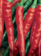 Load image into Gallery viewer, Pepper 'Cayenne'
