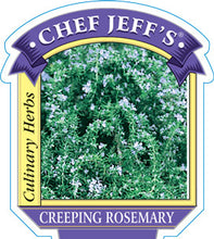 Load image into Gallery viewer, Rosemary Creeping
