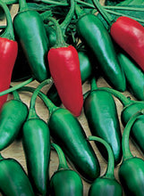 Load image into Gallery viewer, Pepper 'Salsarific Jalapeno'