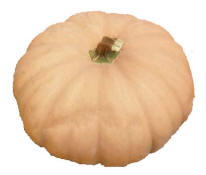 Load image into Gallery viewer, Specialty Autumn Harvest Mix Pumpkins