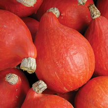 Load image into Gallery viewer, Specialty Autumn Harvest Mix Pumpkins