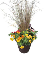 Load image into Gallery viewer, Fall Combo Patio Pot
