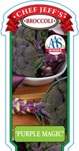 Load image into Gallery viewer, Broccoli 'Purple Magic'
