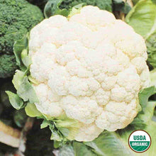 Load image into Gallery viewer, Cauliflower, Snowball Y Organic Seeds
