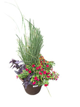 Load image into Gallery viewer, Fall Combo Patio Pot
