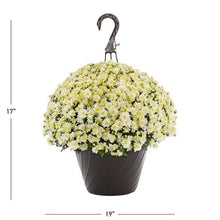 Load image into Gallery viewer, Mum Hanging Basket

