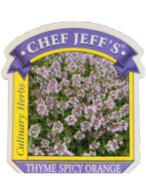 Load image into Gallery viewer, Thyme 'Spicy Orange'
