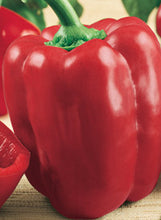Load image into Gallery viewer, Pepper 'Red Beauty'

