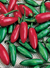Load image into Gallery viewer, Pepper 'Serrano'

