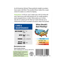 Load image into Gallery viewer, Cucumber Straight Eight Organic Seeds
