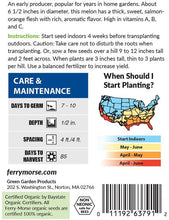 Load image into Gallery viewer, Cantaloupe 'Hale's Best' Jumbo Organic Seeds
