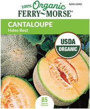 Load image into Gallery viewer, Cantaloupe 'Hale's Best' Jumbo Organic Seeds
