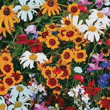 Load image into Gallery viewer, Wildflower Hummingbird Mixture Seeds
