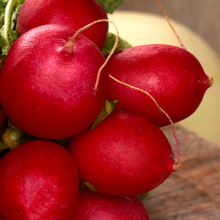Load image into Gallery viewer, Radish Champion Heirloom Seeds
