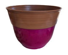 Load image into Gallery viewer, Colored Rim Planters
