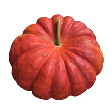 Load image into Gallery viewer, Specialty Autumn Harvest Mix Pumpkins

