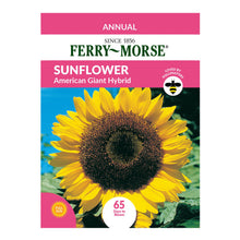 Load image into Gallery viewer, Sunflower American Giant Hybrid Seeds
