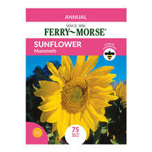 Load image into Gallery viewer, Sunflower Mammoth Seeds
