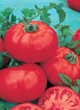 Load image into Gallery viewer, Tomato 'Better Bush'
