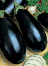 Load image into Gallery viewer, Eggplant 'Classic'
