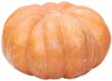 Load image into Gallery viewer, Specialty Autumn Harvest Mix Pumpkins
