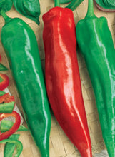 Load image into Gallery viewer, Pepper 'Garden Salsa'

