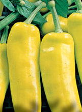 Load image into Gallery viewer, Pepper 'Hungarian Hot Wax'
