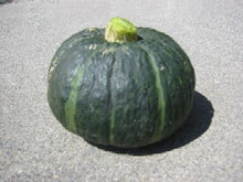 Load image into Gallery viewer, Specialty Autumn Harvest Mix Pumpkins
