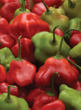 Load image into Gallery viewer, Pepper 'Mad Hatter'
