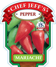 Load image into Gallery viewer, Pepper 'Mariachi'
