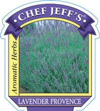 Load image into Gallery viewer, Lavender 'Provence'

