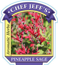 Load image into Gallery viewer, Sage Pineapple
