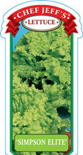 Load image into Gallery viewer, Lettuce 'Simpson Elite'
