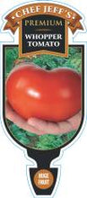 Load image into Gallery viewer, Tomato 'Whopper'
